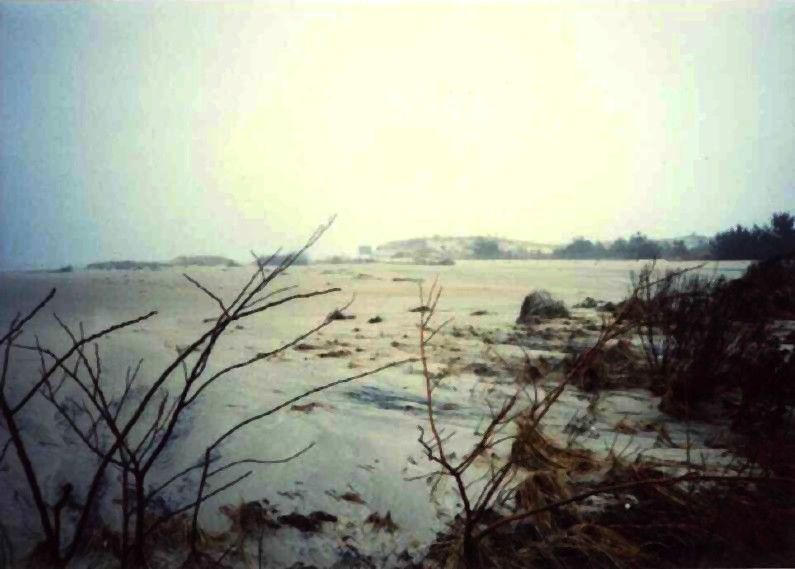 Christmas 1994 nor'easter