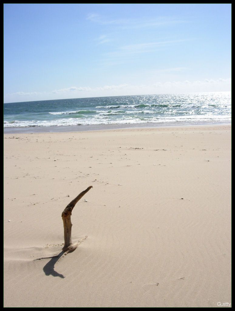 iron on the beach
