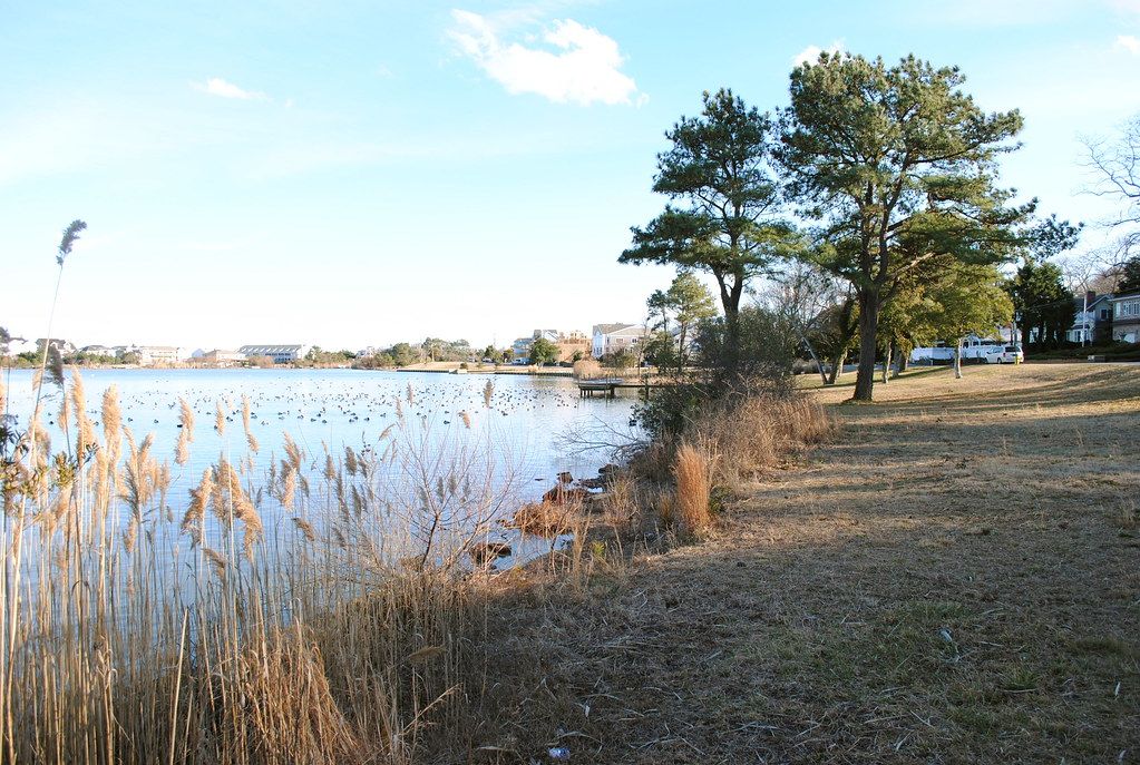 Silver Lake Wildfowl Refuge