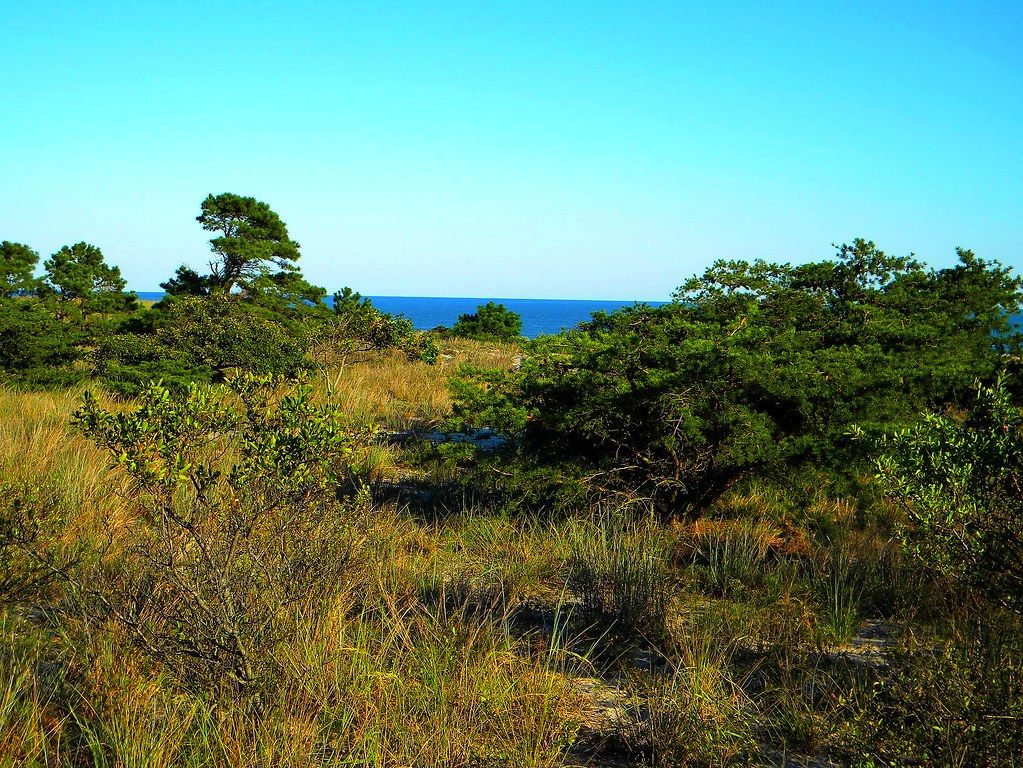 Fort Miles - Cape Henlopen State Park