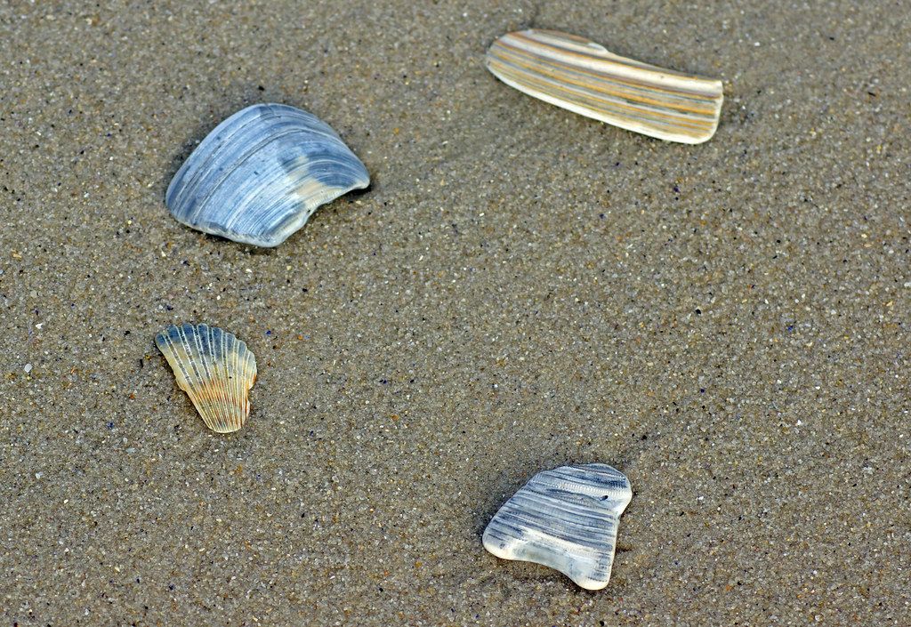 2012-08-04 08-10 Cape May