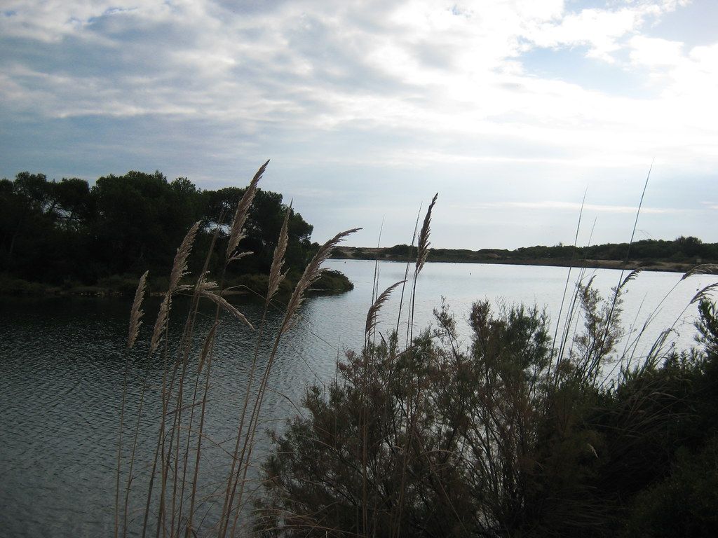 Platja de El Saler