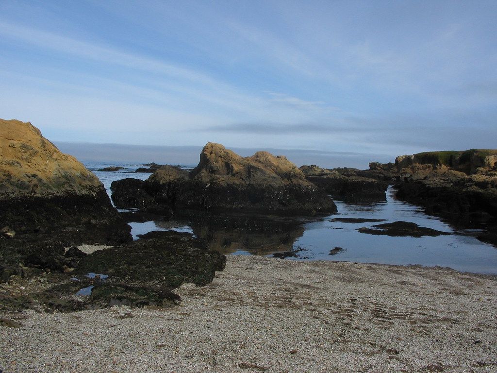 Mendocino beach
