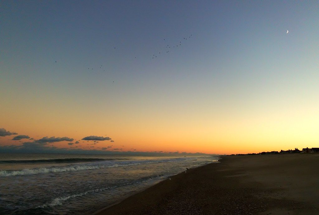 Ocean Beach