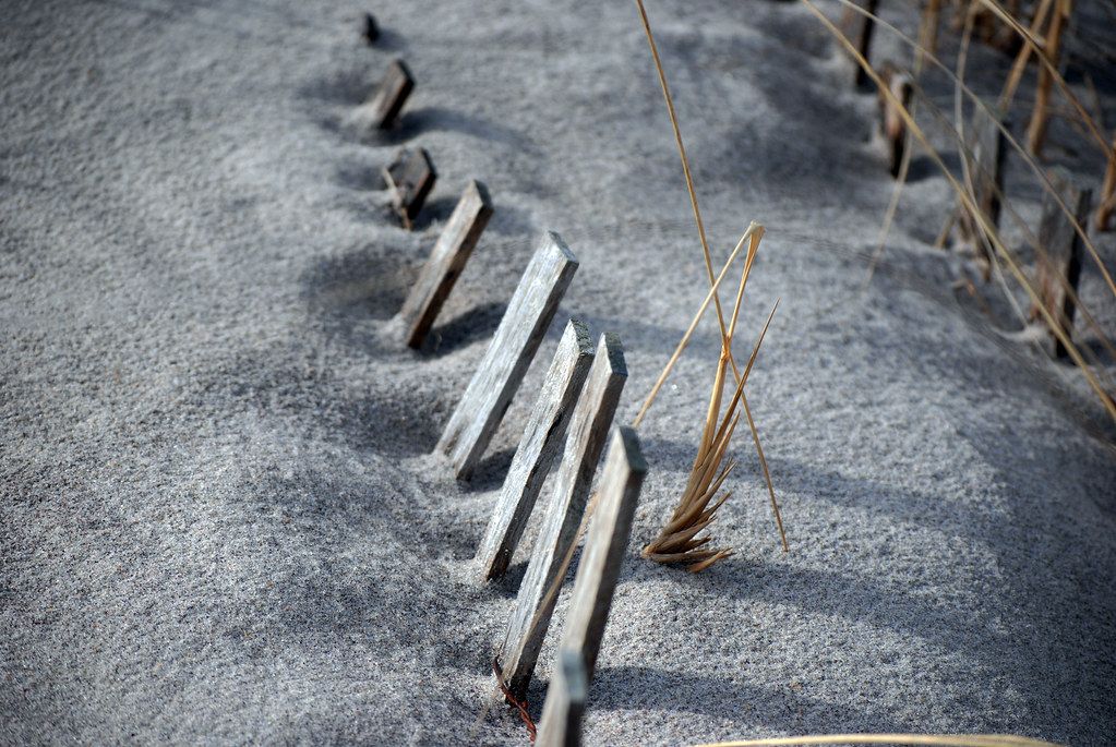 Fire Island_2010 01 18_1078
