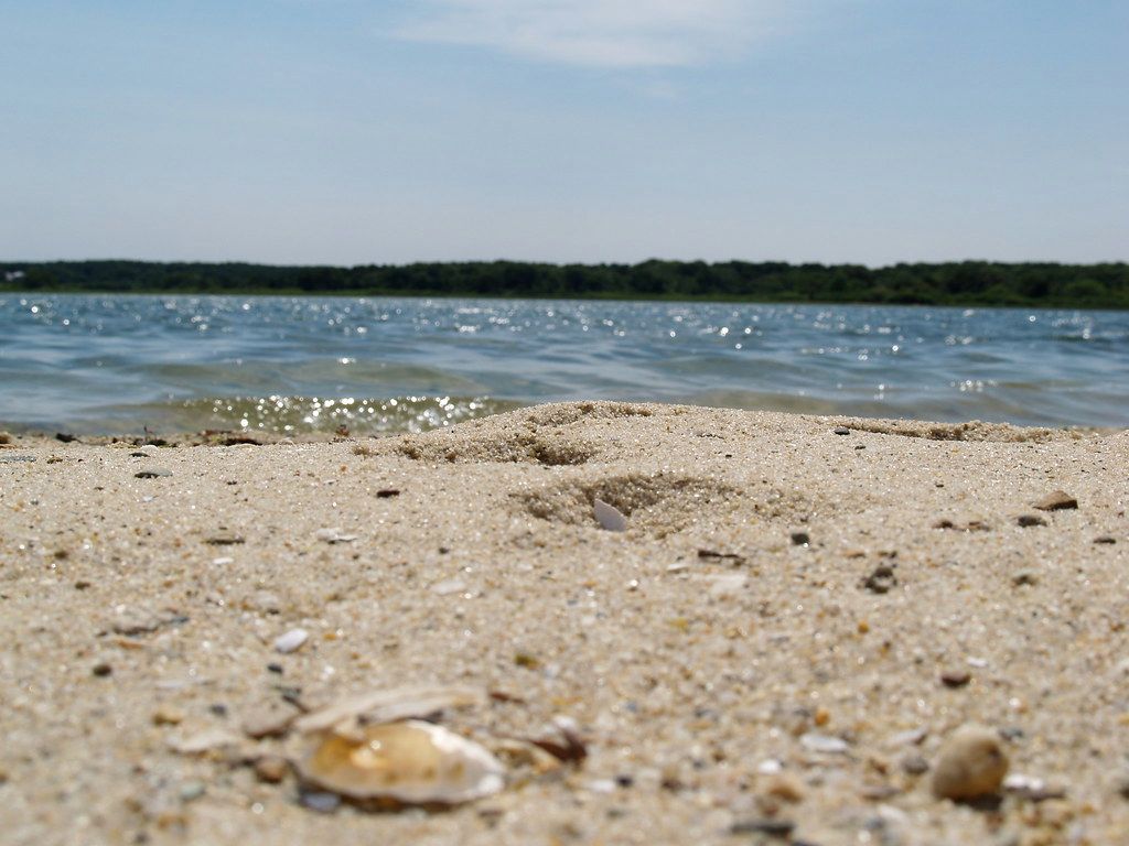Beach in Martha's Vineyard