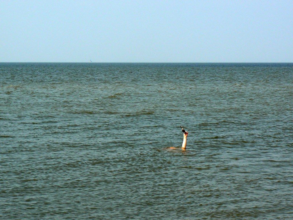 Pete, in Maumee Bay