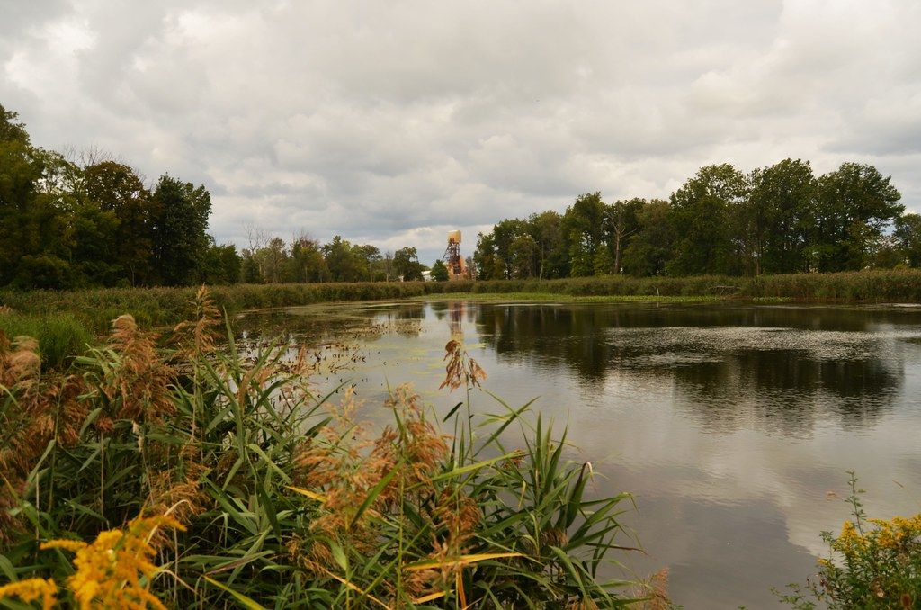 Mentor Marsh Nature Perserve