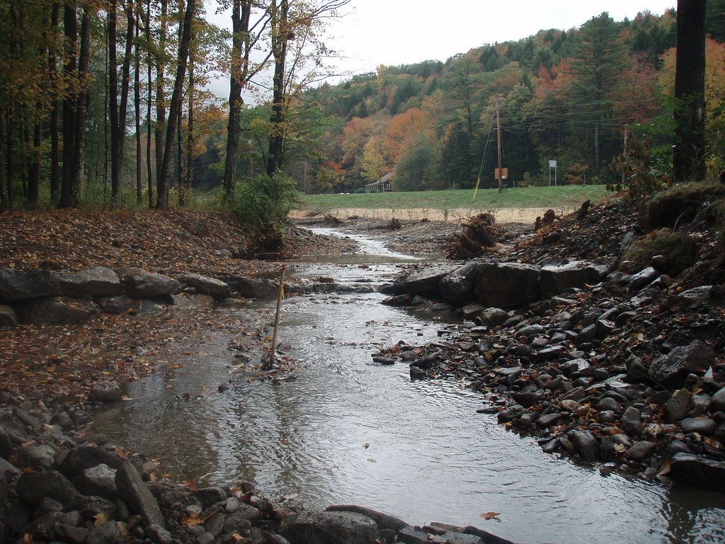 Warren Brook & Cold River Habitat Restoration