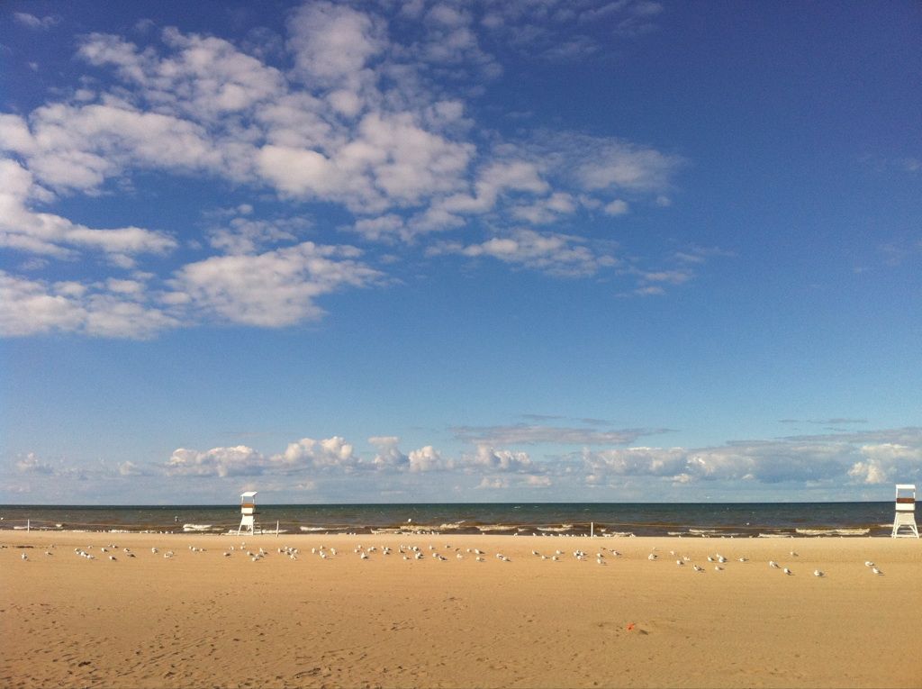 the Lake Ontario beach looks surprisingly like a real beach