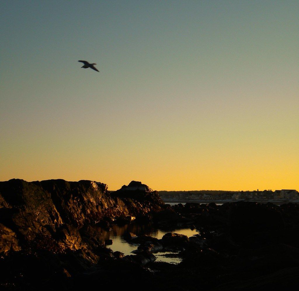 Flying above the Coastline