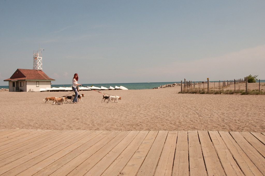 Beachfront gate