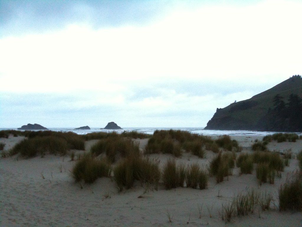 Cascade Head Beach