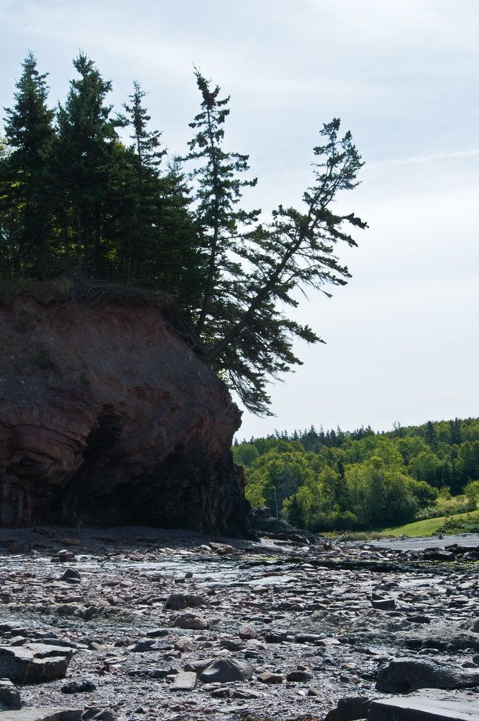 Friday on the Bay of Fundy