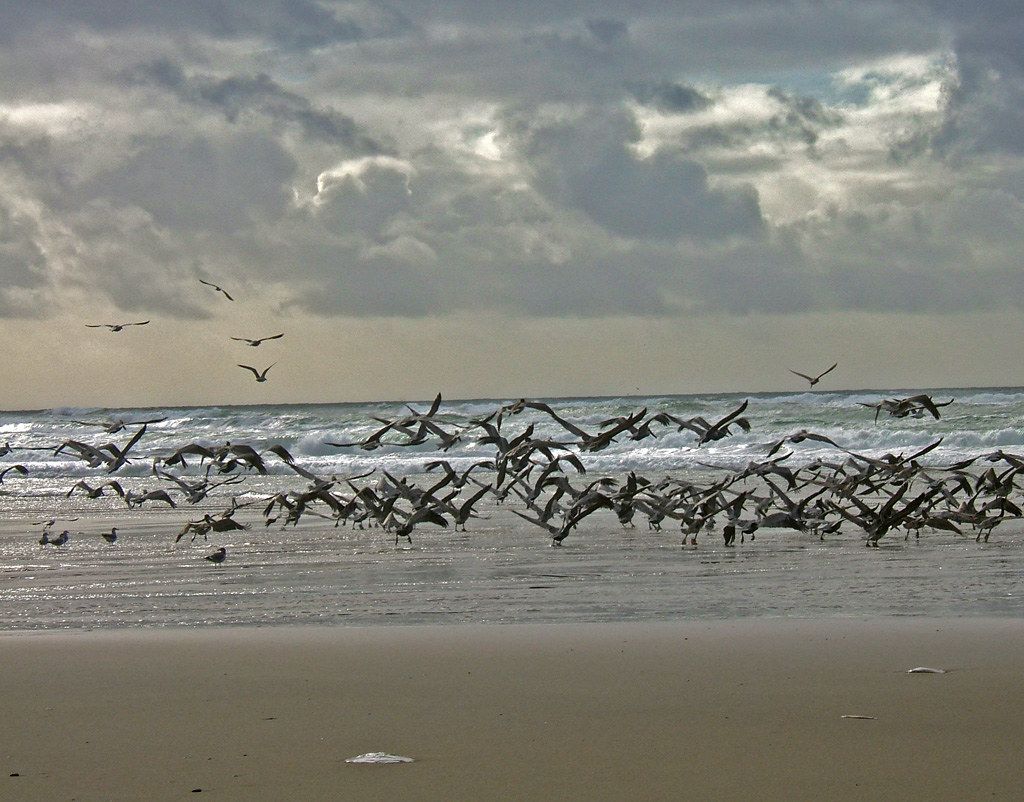 Twin Rocks Beach