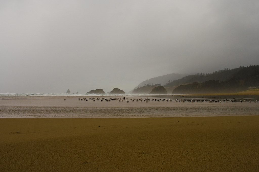 Enjoying Cannon Beach