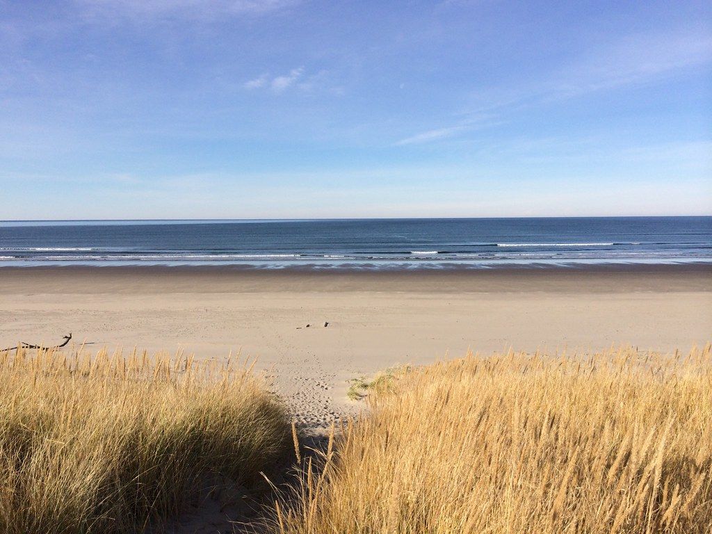 Gearhart beach looking good