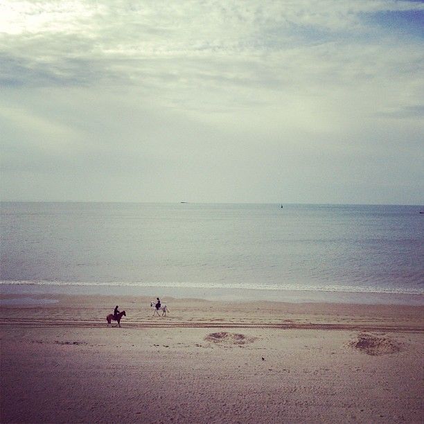 Another morning in La Baule #horse...