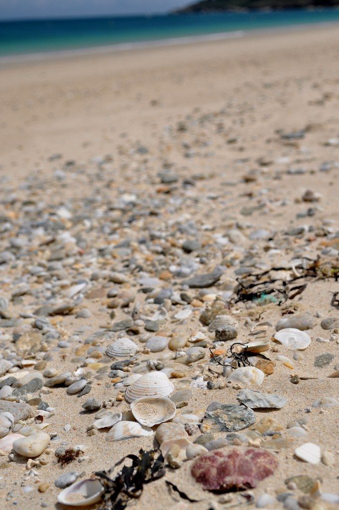 Les trésors de la mer