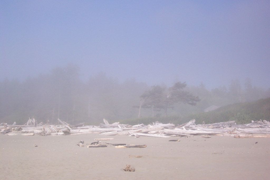 Into the mist