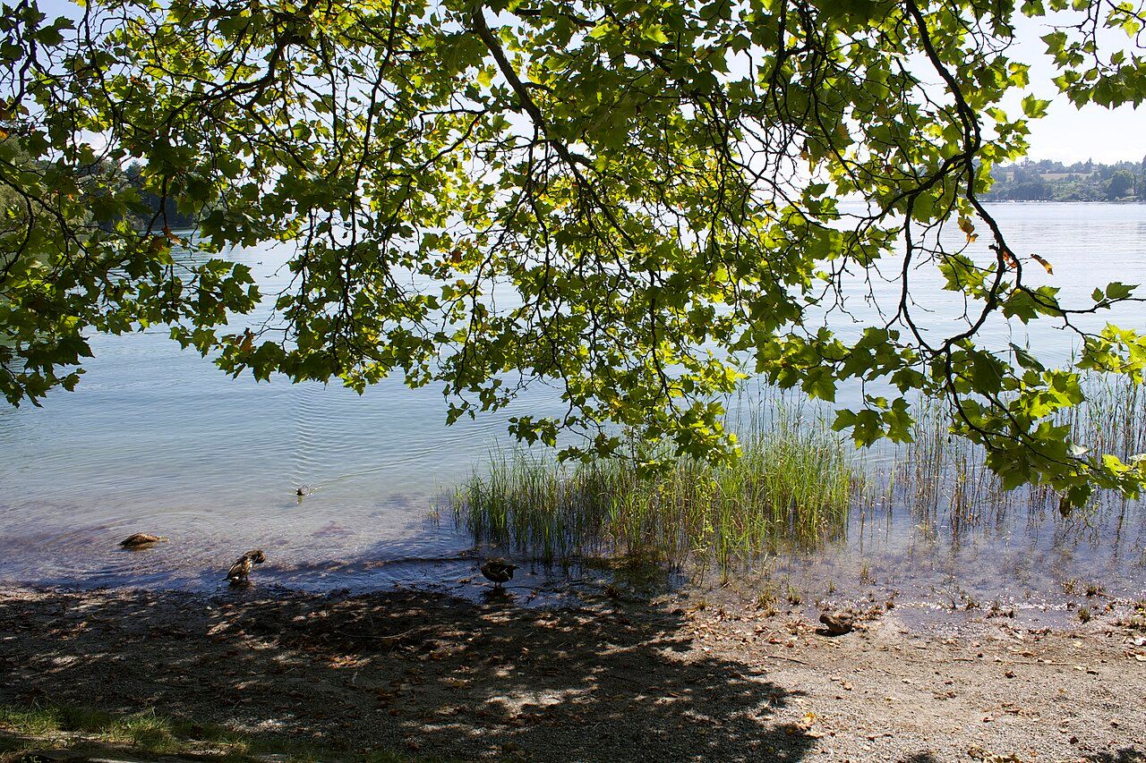 Der Bodenseestrand