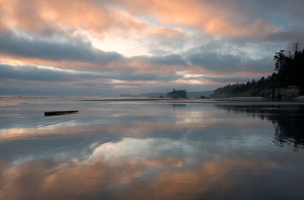 Ruby Beach, low tide