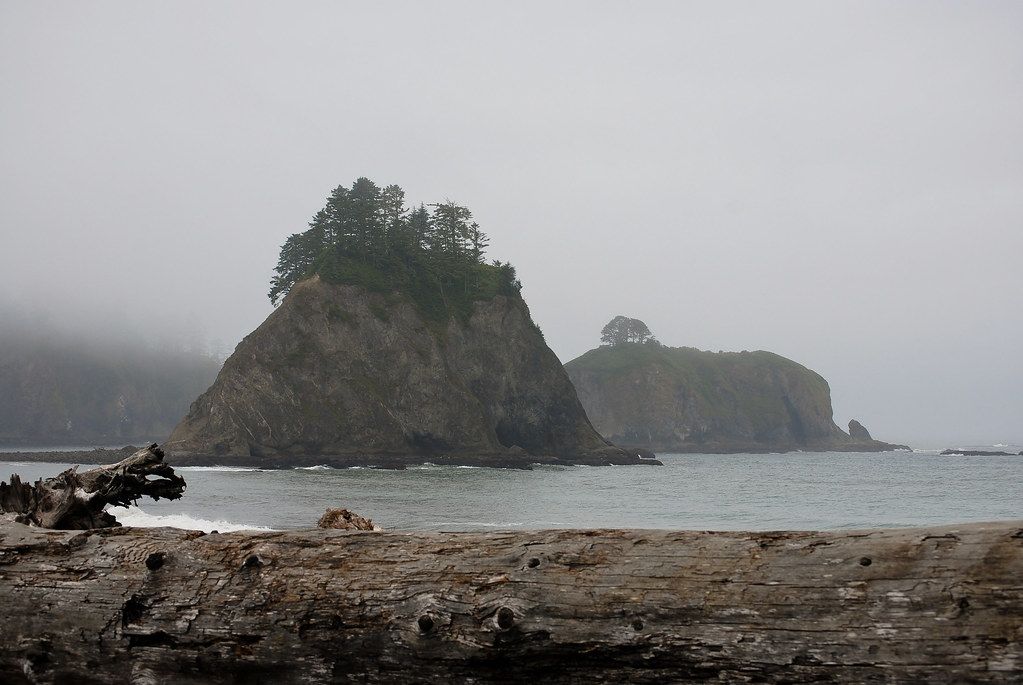 Seastacks in the mist