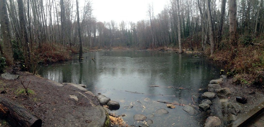 Everett Crowley Park lagoon
