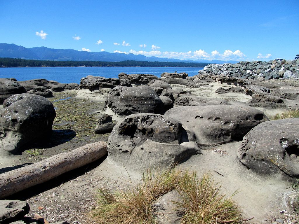 Ford's Cove Looking South