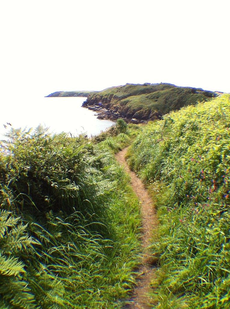 Cadgwith Cove