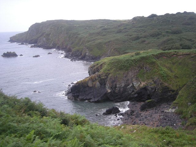 Cornish Ponies
