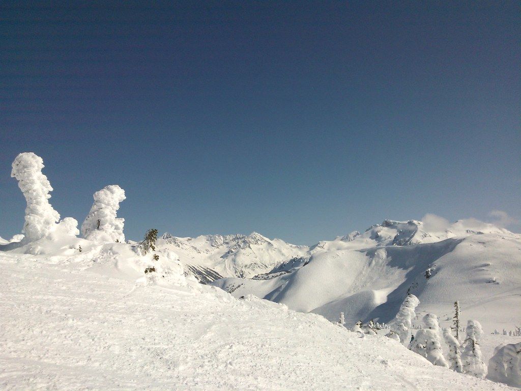 Alien landscape on Whistler Mountain