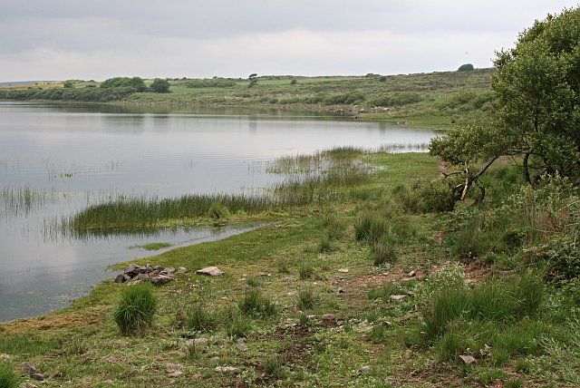 The Shoreline of Stithians Lake