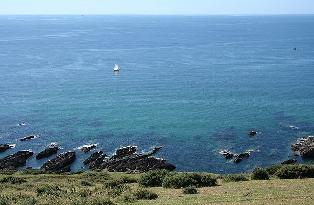 Newton and Noss: towards the Channel