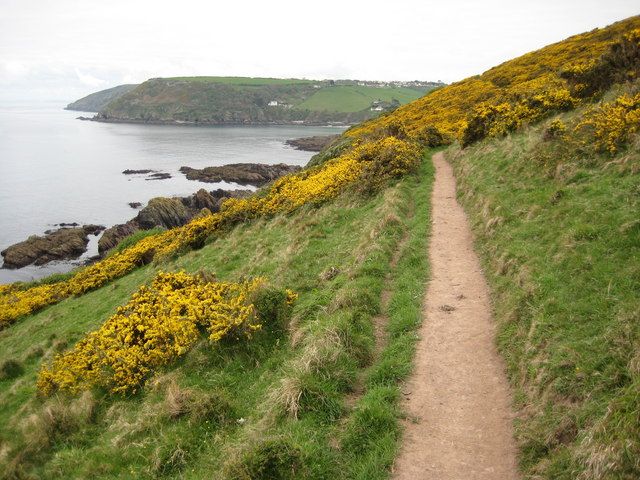 Coast path and Talland Bay