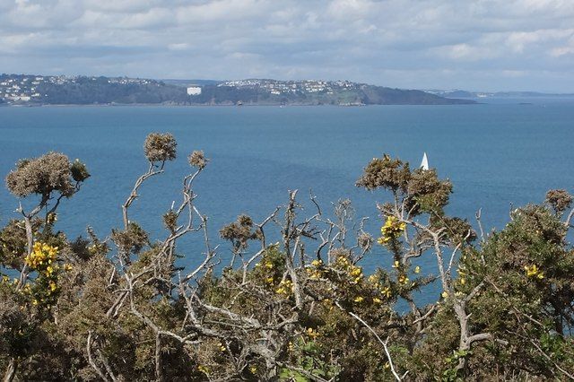Torbay Seen From Berry Head