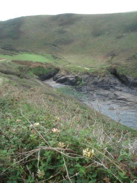 Coast Path at Pine Haven