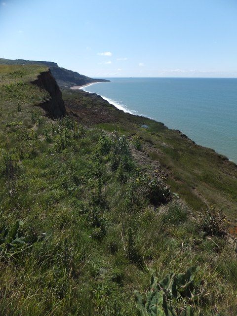 Cliffs above Chale Bay