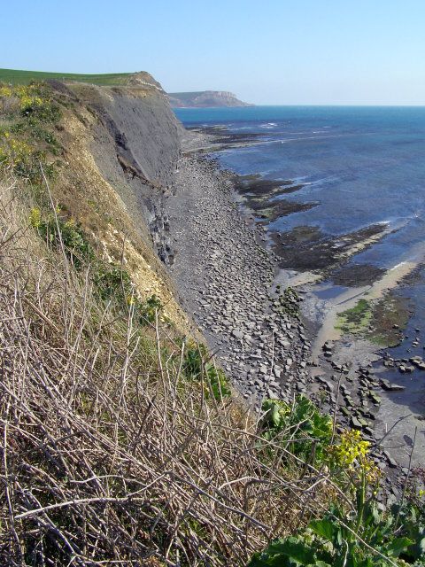 Cliffs and beach east of Clavell's Hard