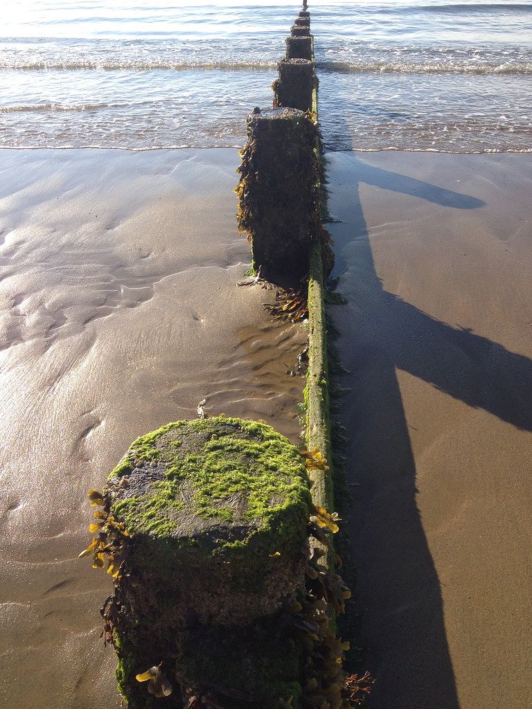 Seaweed on the beach