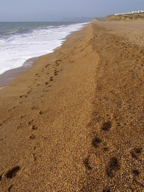 Cogden Beach, Chesil Bank