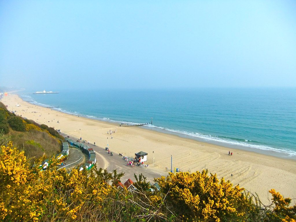Fuzzy Beach