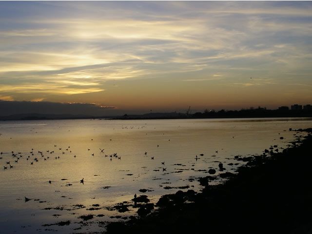 Sunset over Parkstone Bay