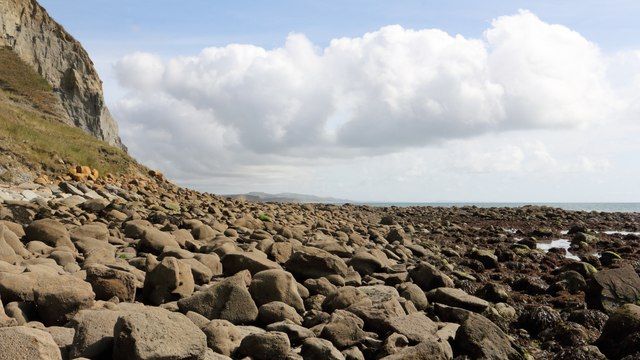 East Ebb, Dorset