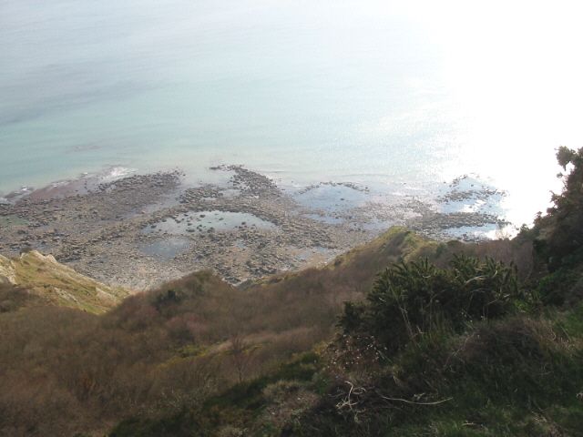 Cliff and seashore below Golden Cap
