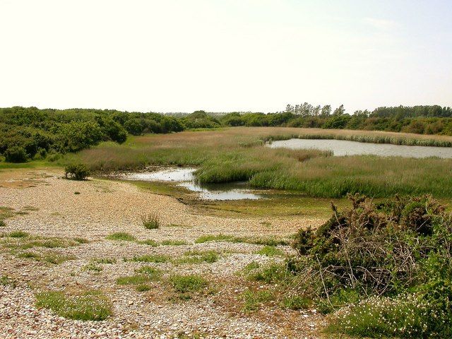 Pond behind the shingle beach