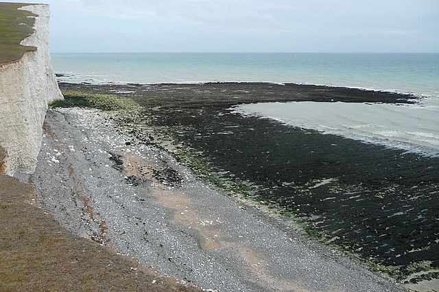 Foreshore from Rough Bottom