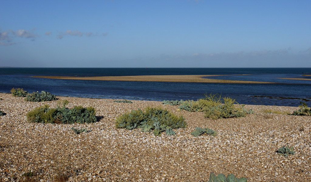 Beach at Pagham Harbour