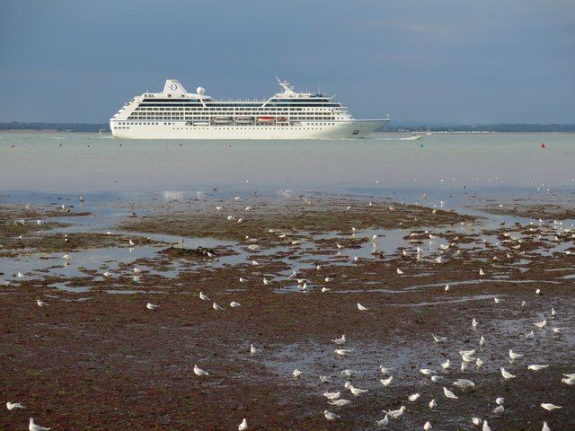 Gulls at low tide, East Cowes