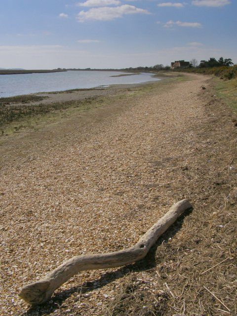 Beach between Needs Ore Point and Needs Ore Cottages, Beaulieu Estate
